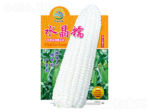 水晶糯-巴山綠旺-綠旺農(nóng)業(yè)