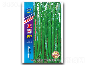 正湘157-線(xiàn)椒種子-正湘種業(yè)
