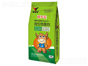 微生物菌劑-真牛茬-軒轅牛