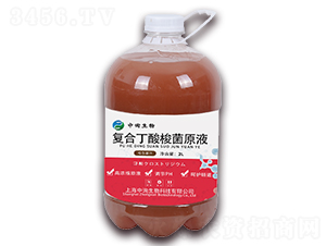 復(fù)合丁酸梭菌原液-中詢生物
