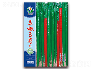 泰椒3號-青椒種子-映山龍