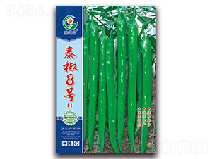 泰椒8號-青椒種子-映山龍