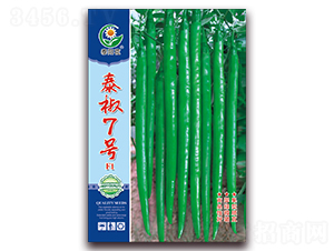 泰椒7號-青椒種子-映山龍