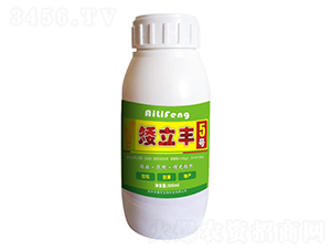 矮立豐5號-禾植豐
