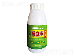 矮立豐4號-禾植豐
