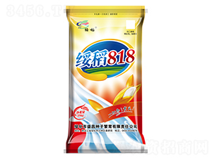 綏稻818-水稻種子-盛昌種子