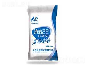 濟麥22-小麥種子-農(nóng)信種業(yè)