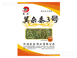 冀雜黍3號(hào)-東昌