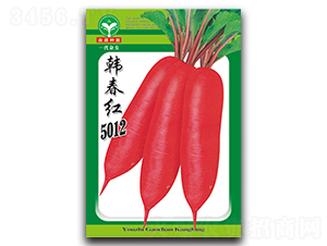 韓春紅5012-蘿卜種子-泉源