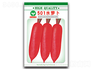 501水蘿卜-蘿卜種子-泉源
