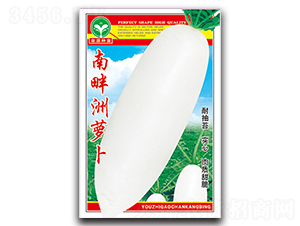 南畔洲蘿卜-蘿卜種子-泉源