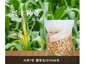 興豐7號-興豐種業(yè)