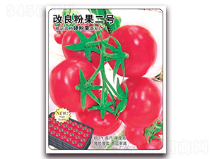 改良粉果二號-番茄種子-飛歌農業(yè)