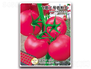 飛歌二號鐵粉王-番茄種子-飛歌農業(yè)