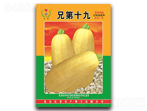 å…„ç¬¬åä¹-æ‰“ç±½è¥¿è‘«è˜†ç¨®å­-å…„å¼Ÿ