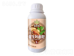 花生葉面肥1號(hào)-沃華佗-漢美農(nóng)業(yè)