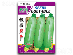 極品碧玉-西葫蘆種子-恒馳種業(yè)