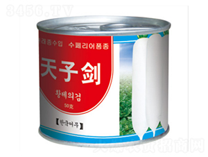 天子劍-蘿卜種子-綿蔬種業(yè)
