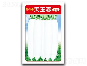 天玉春-蘿卜種子-綿蔬種業(yè)