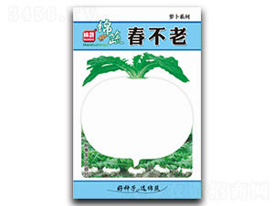 春不老-蘿卜種子-綿蔬種業(yè)