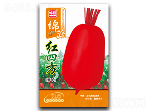 紅四方-蘿卜種子-綿蔬種業(yè)