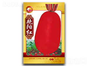 艷陽紅-蘿卜種子-綿蔬種業(yè)