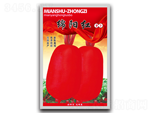 綿陽紅-蘿卜種子-綿蔬種業(yè)