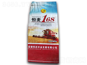 恒麥168-小麥種子-恒進(jìn)農(nóng)業(yè)