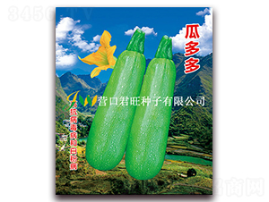 瓜多多-西葫蘆種子-營口君旺
