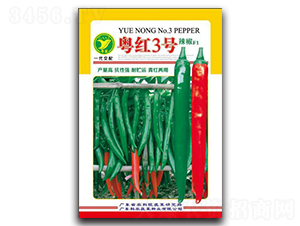 粵紅3號-辣椒種子-科農(nóng)