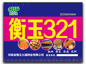 衡玉321-玉米種子-九福種業(yè)