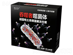 é ‘å›ºæ€§åœŸå‚³ç—…å®³è§£æ±ºæ–¹æ¡ˆ-åžå™¬è€…å™¬èŒé«”-æ‘©è˜‡ç±³æ‹‰