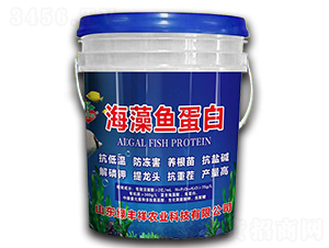 海藻魚蛋白-綠豐祥農(nóng)業(yè)