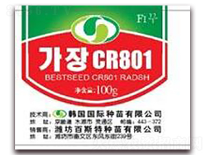 百斯特CR801-白蘿卜種子-百斯特