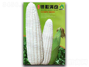 改良銀粒滿-玉米種子-鑫園世家