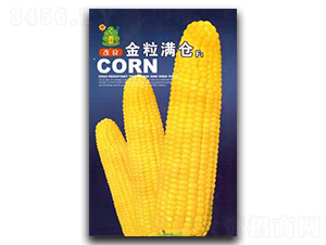 改良金粒滿倉-玉米種子-鑫園世家