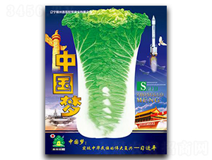 中國夢(mèng)-白菜種子-鑫園世家