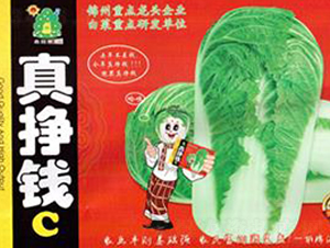 真掙錢(qián)C-白菜種子-鑫園世家