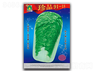 珍品91-18-白菜種子-鑫園世家