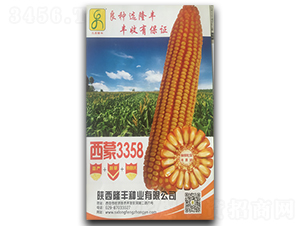 西蒙3358-玉米種子