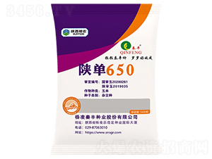 陜單650-玉米種子