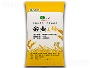 金麥1號(hào)-小麥種子