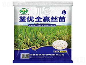 荃優(yōu)全贏絲苗-水稻種子-荃銀高科