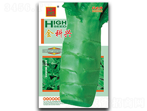 科興尖葉萵筍-萵筍種子-科興種業(yè)