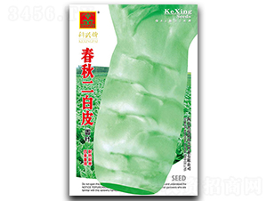 春秋二白皮-萵筍種子-科興種業(yè)
