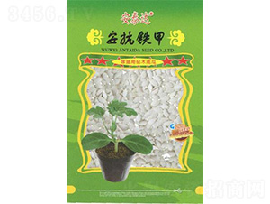 安抗鐵甲-南瓜砧木-安泰達(dá)