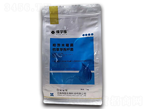 å“ˆèŒ¨æœ¨éœ‰èŒ+æž¯è‰èŠ½å­¢æ¡¿èŒ-æ£µå­¸(xuÃ©)ç¨¼