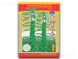 神芝三號-白芝麻種子-華農(nóng)種業(yè)