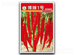 博辣1號-辣椒種子-興蔬種業(yè)