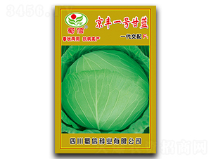 京豐一號-甘藍種子-蜀信種業(yè)